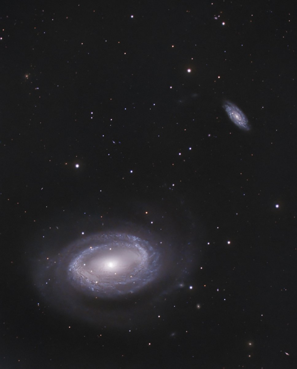 A pair of giant frisbees flying through space🥏 

#NGC4725 and #NGC4712 are two galaxies leaving us at over a thousand kilometers per second. NGC4725 is an exceptional galaxy featuring only one spiral arm, while most galaxies have two or more.

#Astrophotography #Space #AstroHour