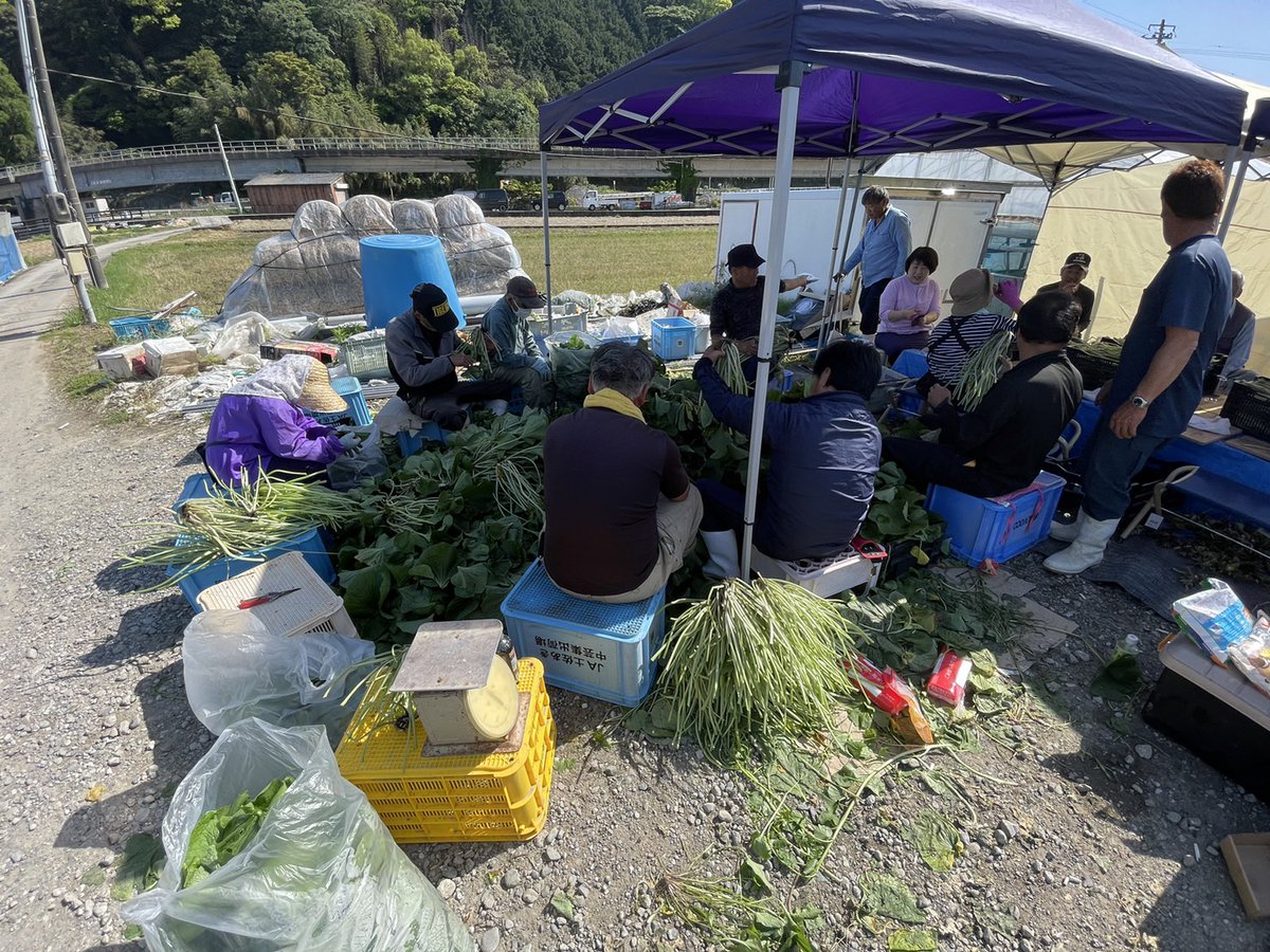 こんにちは、安田の食応援隊です。

昨日、5/1に葉わさびの収穫と出荷作業を行いました。収穫量が多くて大変でしたが貴重な体験をさせていただきました。

今後の活動予定
6/1 鮎釣り
7/15 あんたべ祭(夏の陣)
