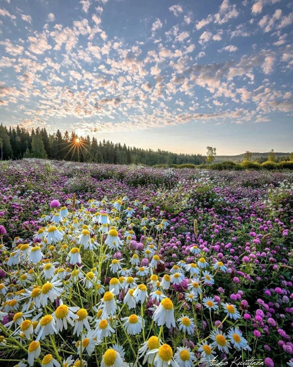 ☀️
Good morning dear friends 

#NaturePhotography