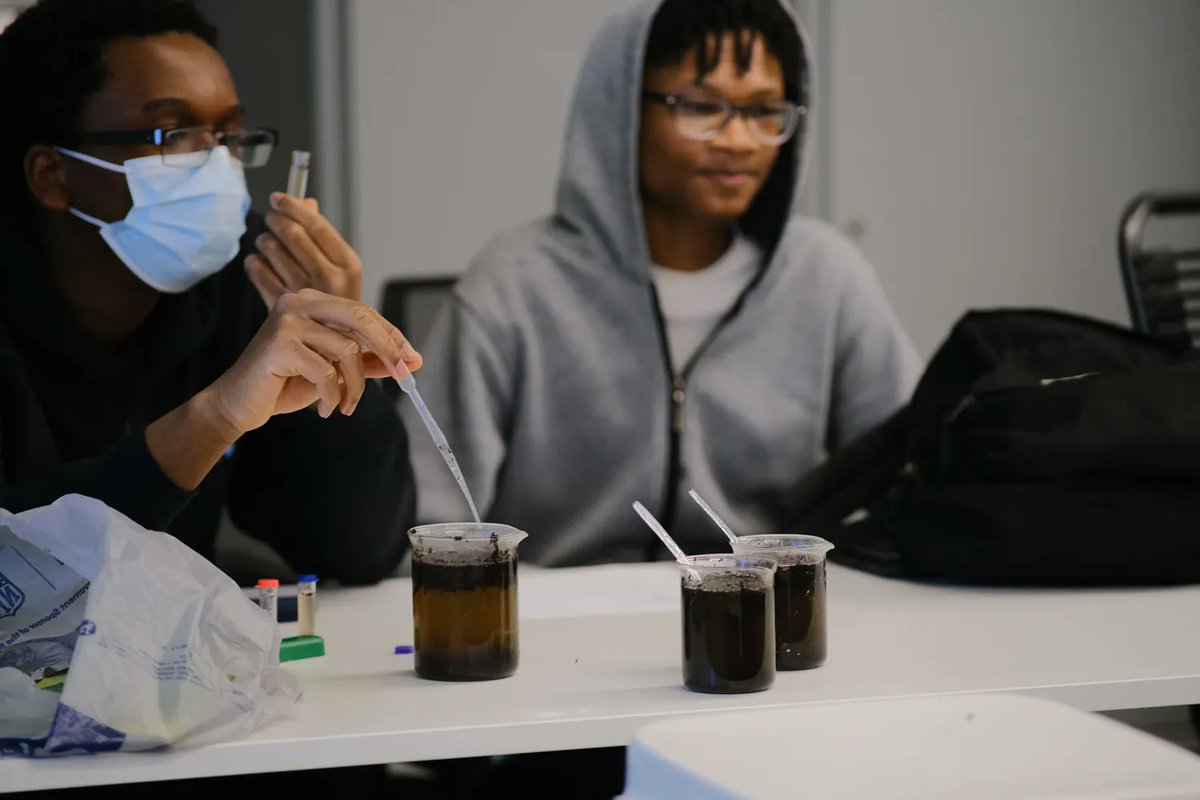 GCELabSchool's tweet photo. Students in the Food class study ecology, chemistry, and genetics in order to understand the food cycle. Today, we're testing nutrients in soil to see how it all begins. 
#BeBold #chicagoschools #progressiveeducation #realworldlearing #chicagoprivateschools #projectbasedlearning https://t.co/wsxcEZKIIE