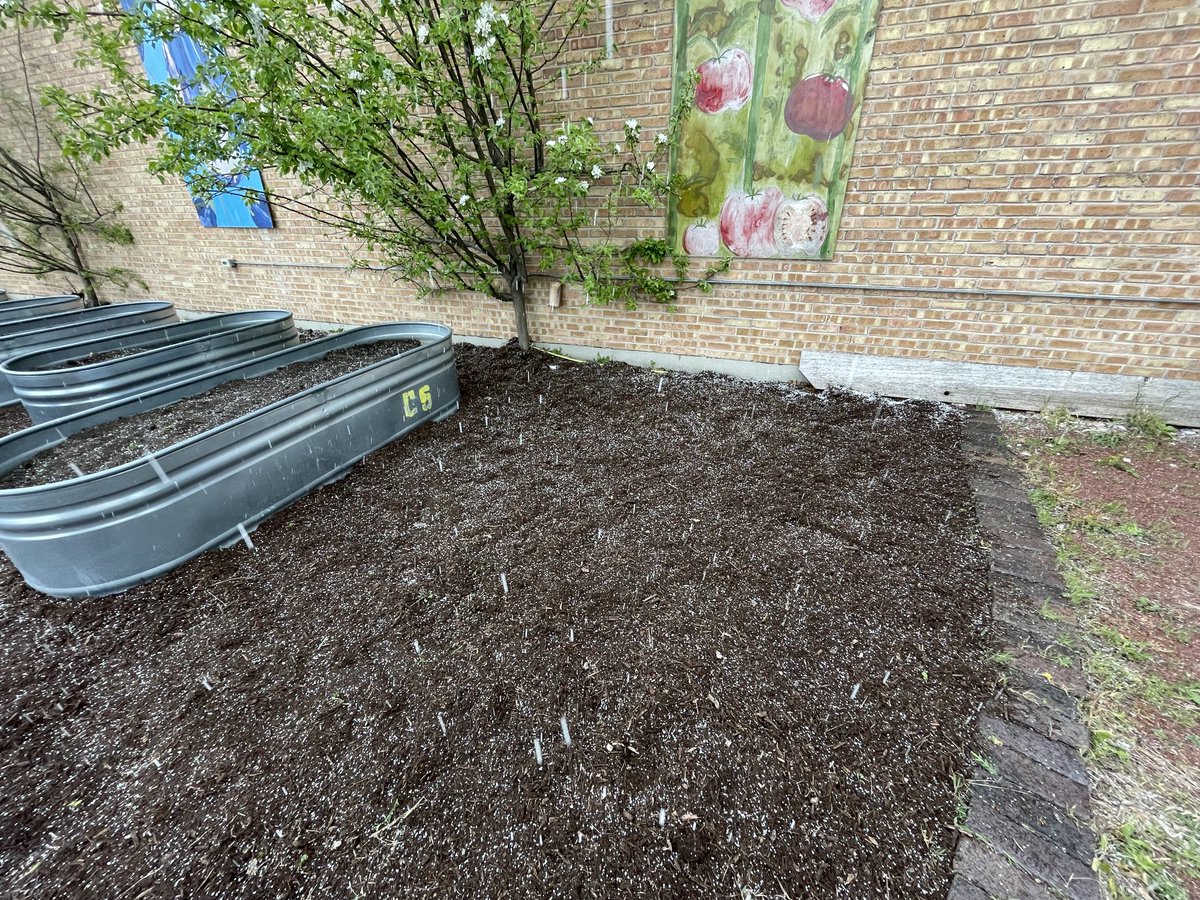 Vanessa Robbin tweet media