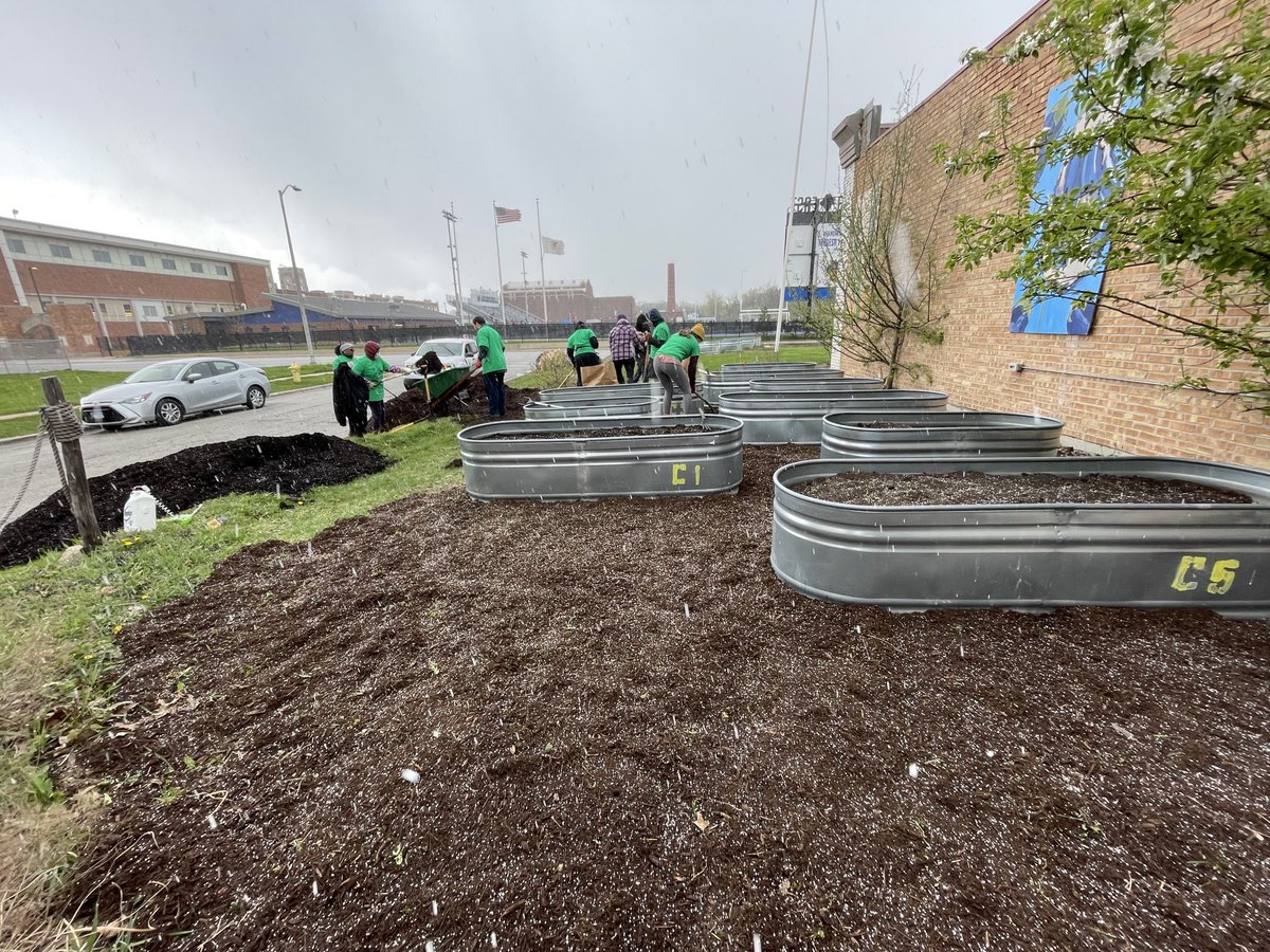 Vanessa Robbin tweet media