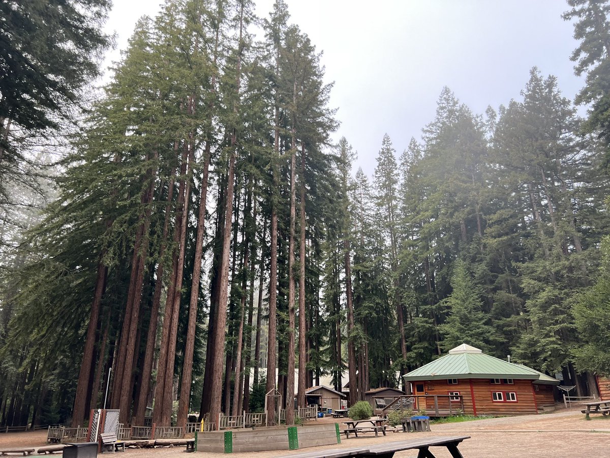 MrsGiaJantz's tweet image. Thank you @AllItTakesOrg for hosting my students this weekend. It was a weekend we will never forget. Notice. Choose. Act. #qtip #iam #trustedspace