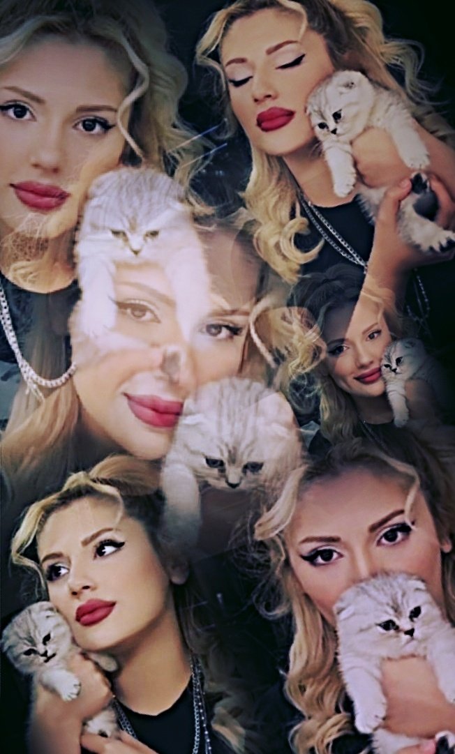 😻#aytol