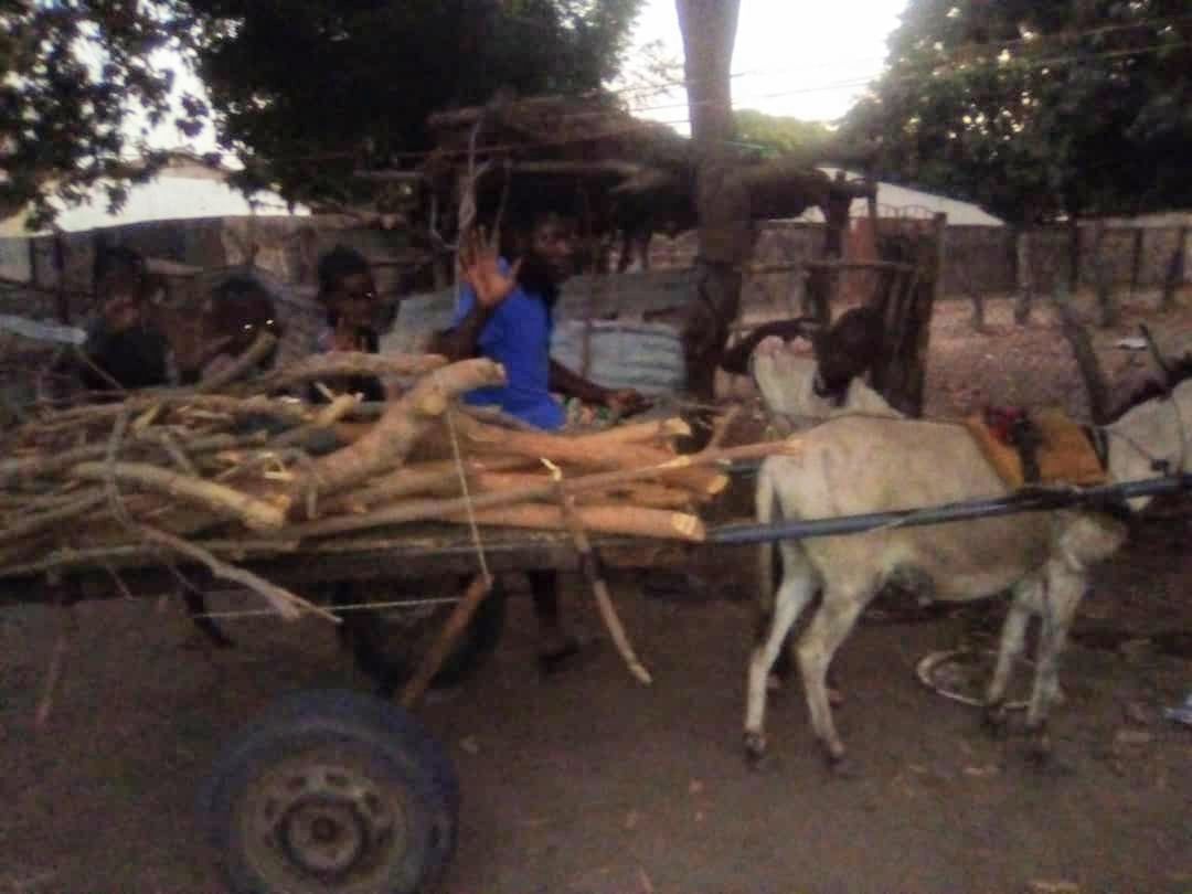 Dampha121's tweet photo. Me and my younger siblings children's 😭🙏 we need helps hands for us here no one cares about us to get some good support for us God help us someone who will accept to help us 😭🙏🙏 out of this hard labor situation 😭🙏 https://t.co/ICCrMvmtRi