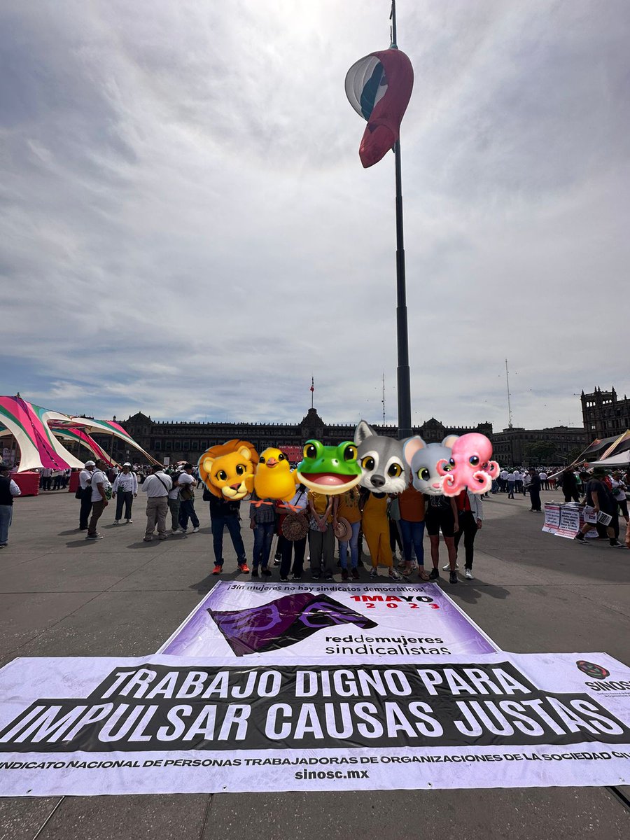 Laura Alvarado tweet media