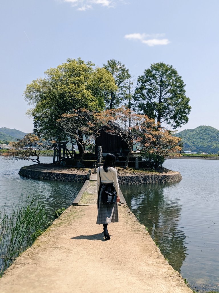 9163Taka's tweet photo. 会社に休みをもらって
超久しぶりに奥様と二人でデートにでかけております

池の真ん中に浮かぶ須濱神社へ行き
今から好古園🚘 https://t.co/N3owZH4uXE