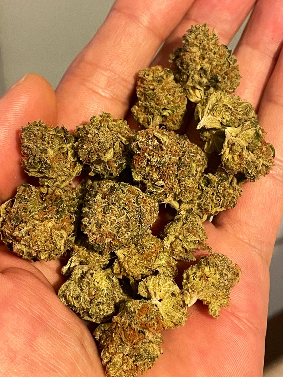 🤏NYC Diesel ⛽️