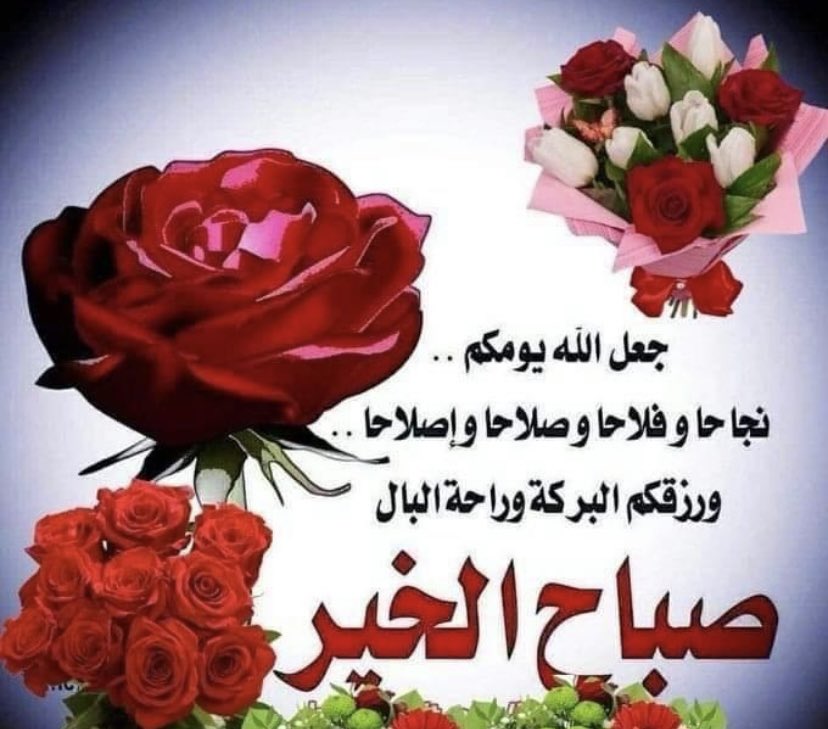 shatha_qah's tweet image. صباح الخيرِ وأنا على يقينٍ تام بِأن الخير
 سيُصادف أيامنا الآتية ♥️🌹
صباحُ الخيرِ للوجه الذي 
يُشعرني بأنه الدنيا لسة بخير 
" ثُم اللهُم أتبِع عُسرنا بيُسر، وأبدِل كسرنا بجبر، واجعل لنا في كُل أمرٍ خير"💙🌹

صباحكم جميل مثلكم 🤍🌞🌹
