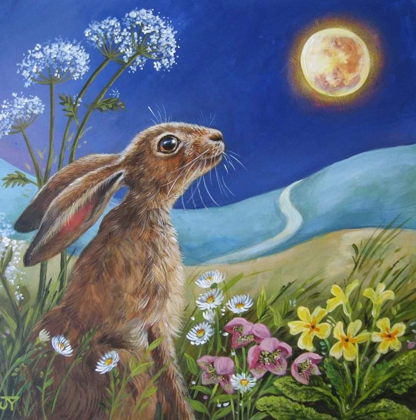 kaya2915's tweet photo. Sweet dreams 😴 #RabbitRabbit ✨🐇🐇✨🌝 https://t.co/WkZvHdZnpk