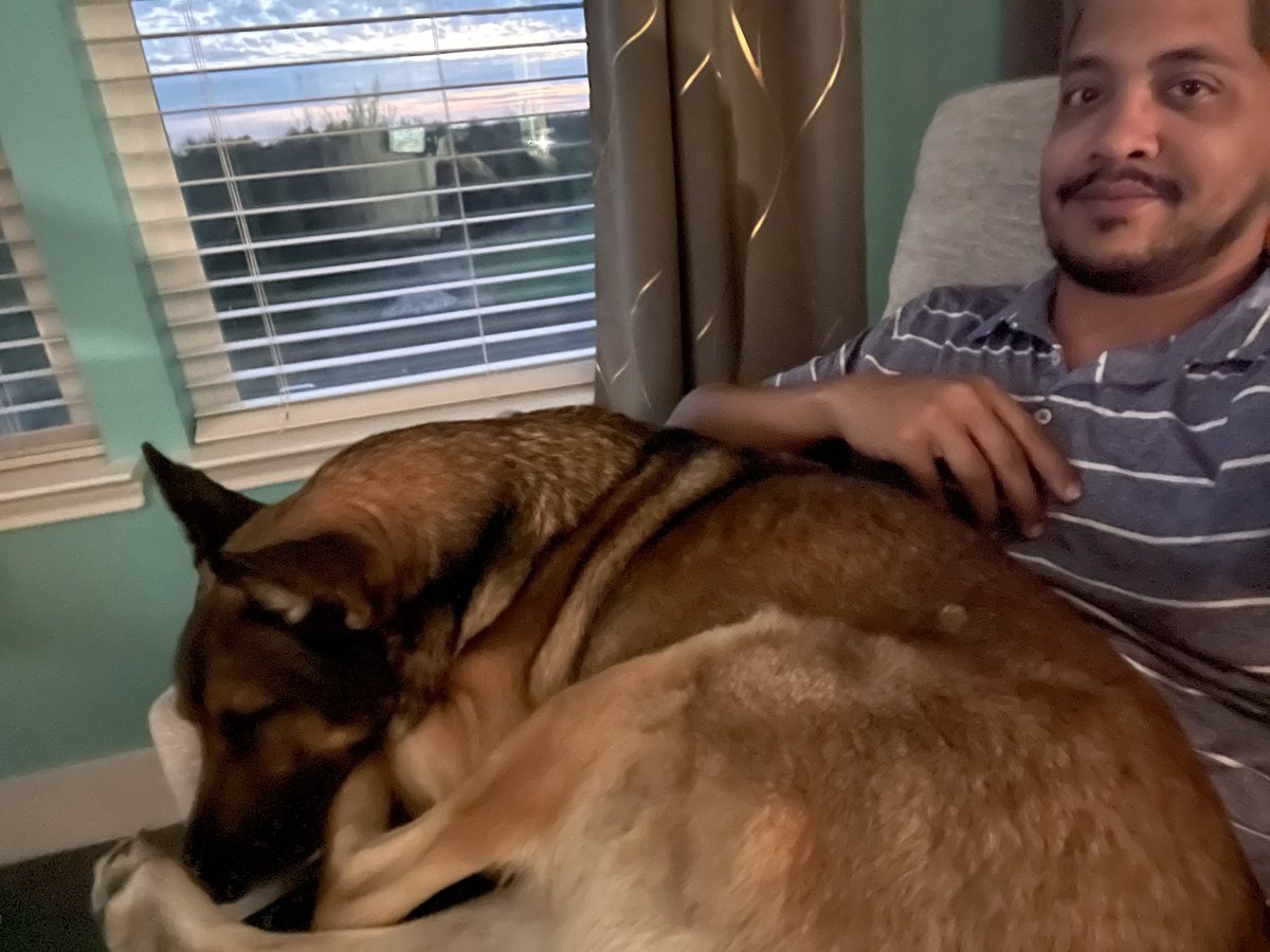 ATXCrypto_'s tweet photo. @georgiacarrera @CristinaHype Welcome to Shepherd life! They are big snugglers. You’re going to be a great #pupmom https://t.co/PBFPWOd8Il
