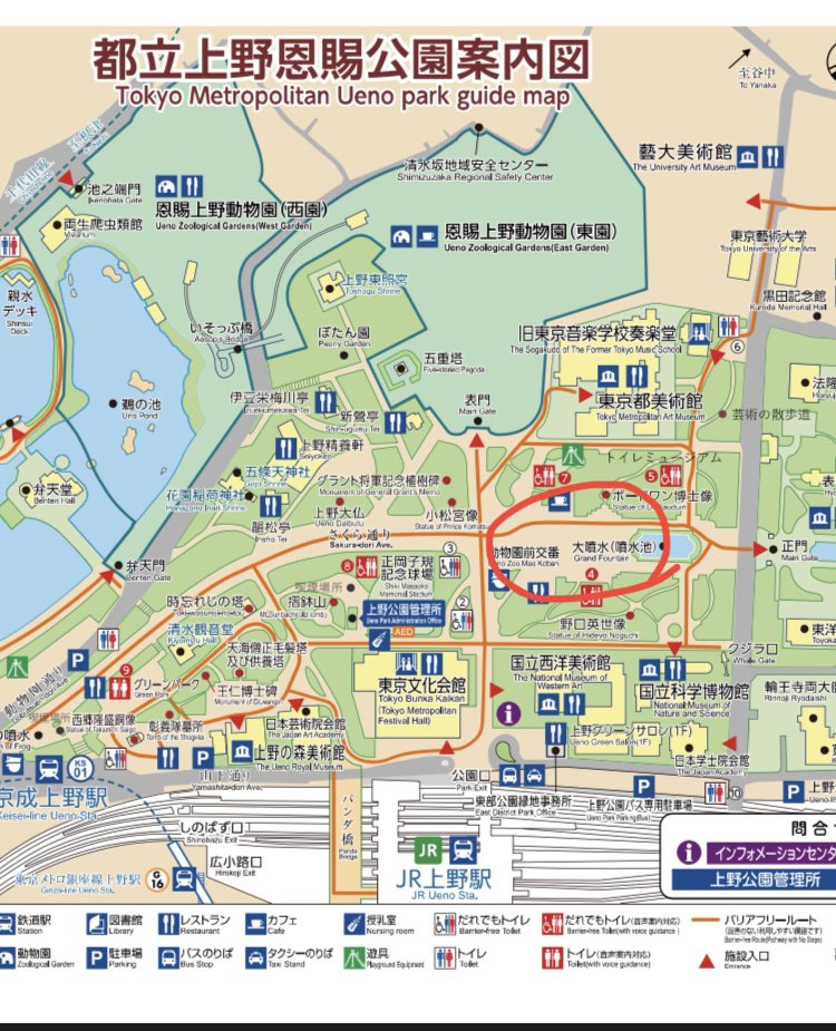 上野恩賜公園で！！
これから！！
ライブペイント！！
するよ！