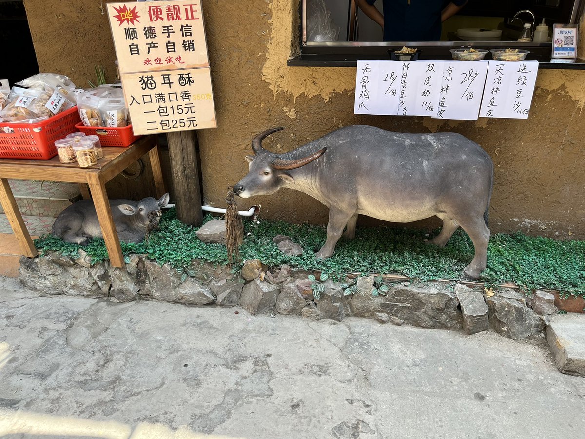 paiyun3's tweet photo. 佛山顺德 https://t.co/1lwcluVjCB