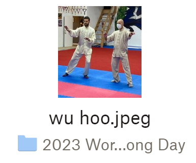 thestressbender's tweet photo. Looking through the photos and videos students uploaded in the Dropbox I set up for World Tai Chi and Qigong Day. This image name of the Northern Wu Style Tai Chi demo is my favorite 😆 https://t.co/v6km2W8z6a