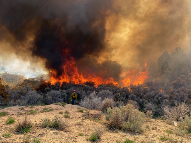 UtahWildfire's tweet photo. Ignitions on the #OldWomanSouthRx went well today and fire behavior continues to meet project objectives. #usfsFNF & #FFSL have completed Unit 17 with a total of 350 acres. #FuelsProjects #CentralUtah
#UtahWRI
#UtahSharedStewardship https://t.co/946W2iQU3U