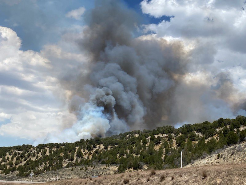 Ignitions on the #OldWomanSouthRx went well today and fire behavior continues to meet project objectives. #usfsFNF & #FFSL have completed Unit 17 with a total of 350 acres. #FuelsProjects #CentralUtah
#UtahWRI
#UtahSharedStewardship