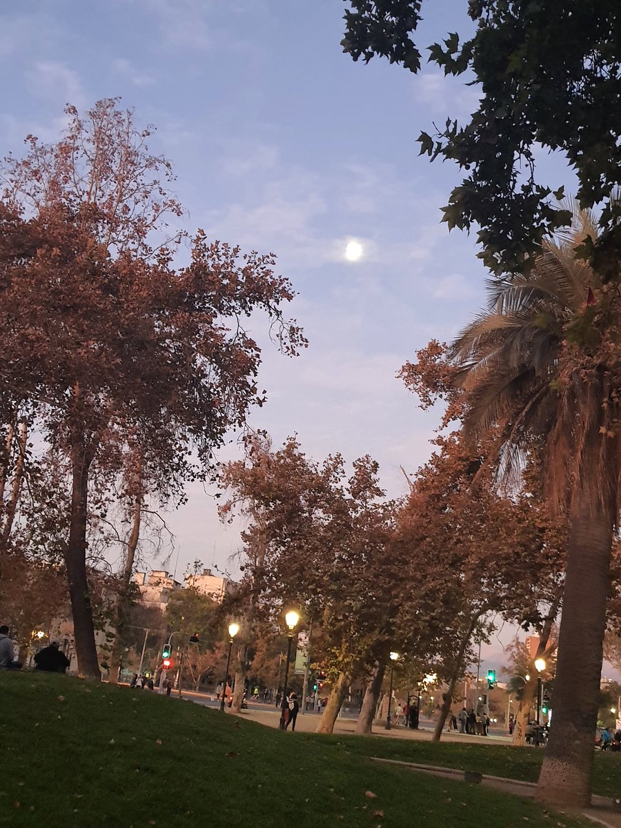 roxva0408's tweet photo. Luna de otoño...hermosa 🥰😍 https://t.co/cQamF3yb08