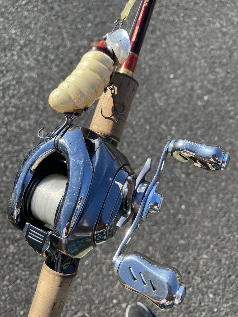 kokori45ko's tweet photo. 起床❓
デイナマ❓
今日もキメッキメのゴメクサスセッティング✨
#ゴメクサス
#TH80 https://t.co/CtqaktoUek