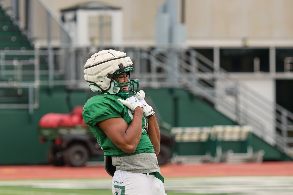 Tuesday vibes 🌞🌲 #TheWoods