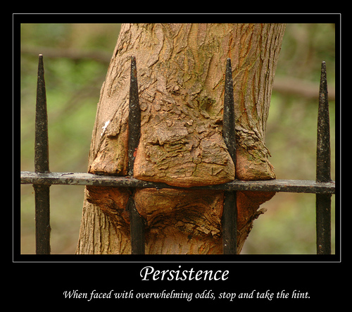 KateNasser's tweet photo. TYSM Scott! @WScottCochrane Worthwhile read; persistence vs resistance...  "Leadership: Persistence vs. Distorted Resistance to Change" via @KateNasser

https://t.co/7aWCPkMwBk

#TeamAgility #Agility #LeadershipCoaching #OrganizationalCulture #LeadChange https://t.co/LihAHupMVi