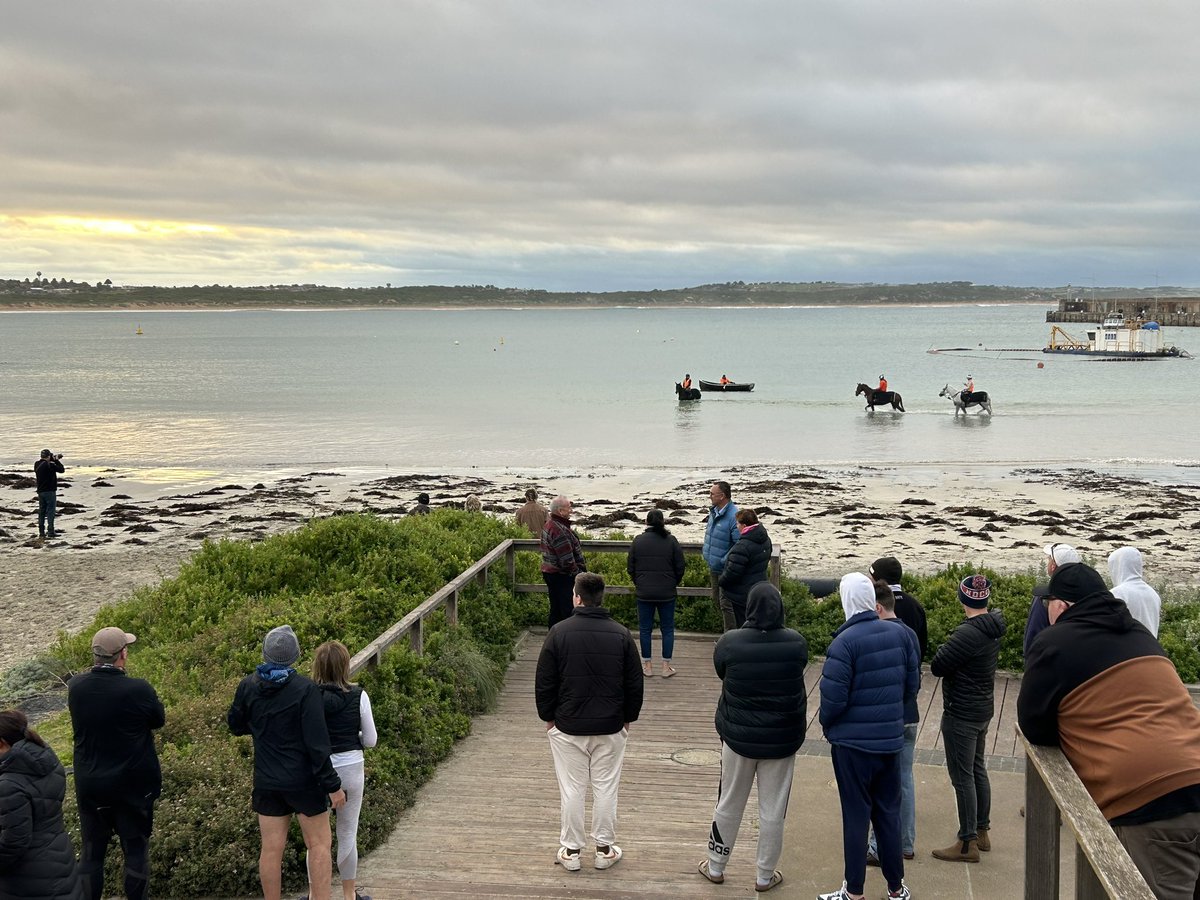 janebakerracing's tweet photo. #TheBool #DayOne A big crowd at Lady Bay to see the horses working on the beach #giddyup #mayraces https://t.co/LgXHQFFLbF