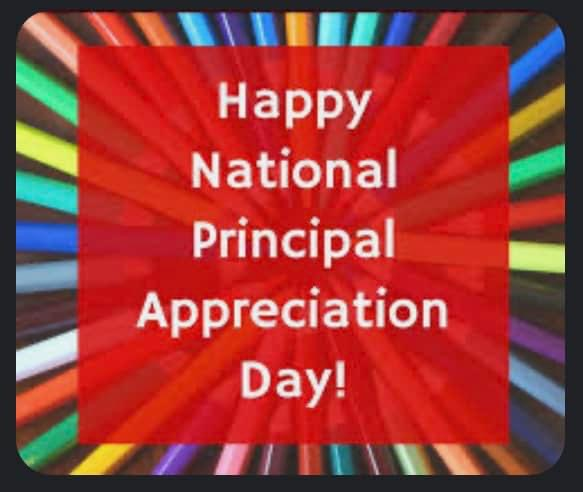 CASDRainbow tweet media