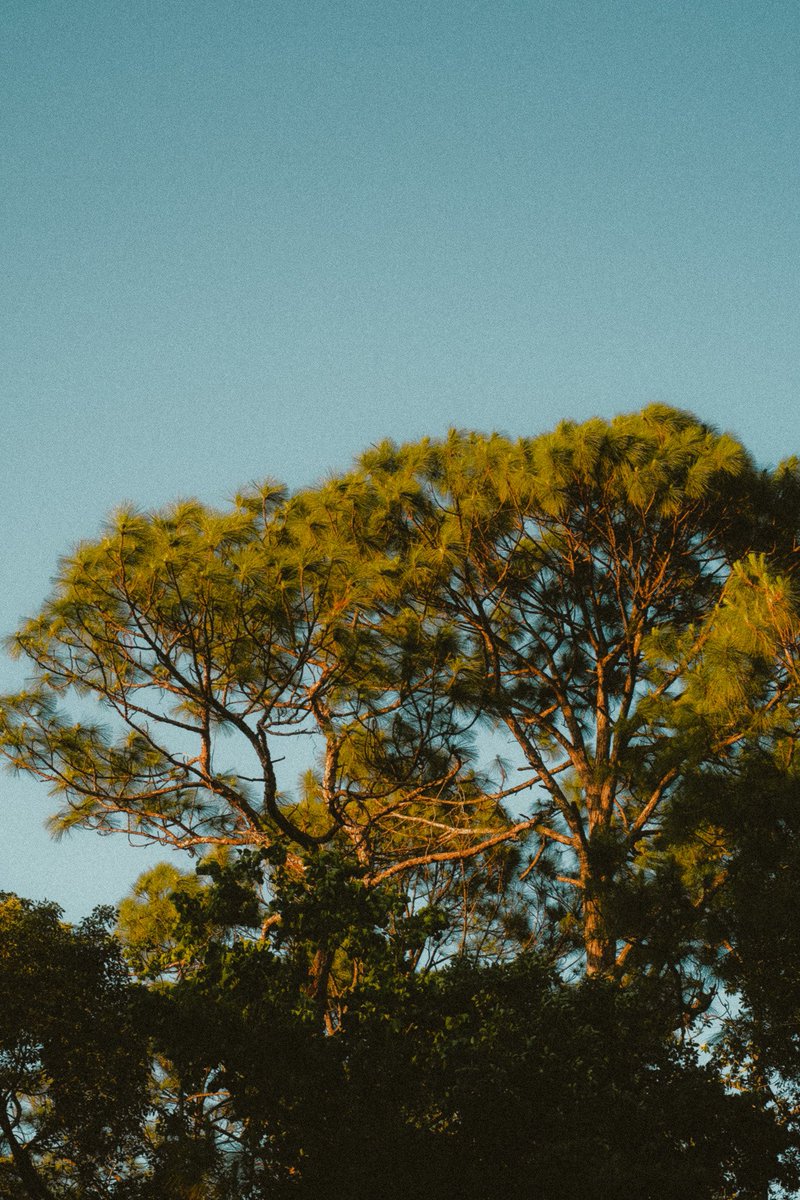 Zachhh (@shootzach) on Twitter photo 