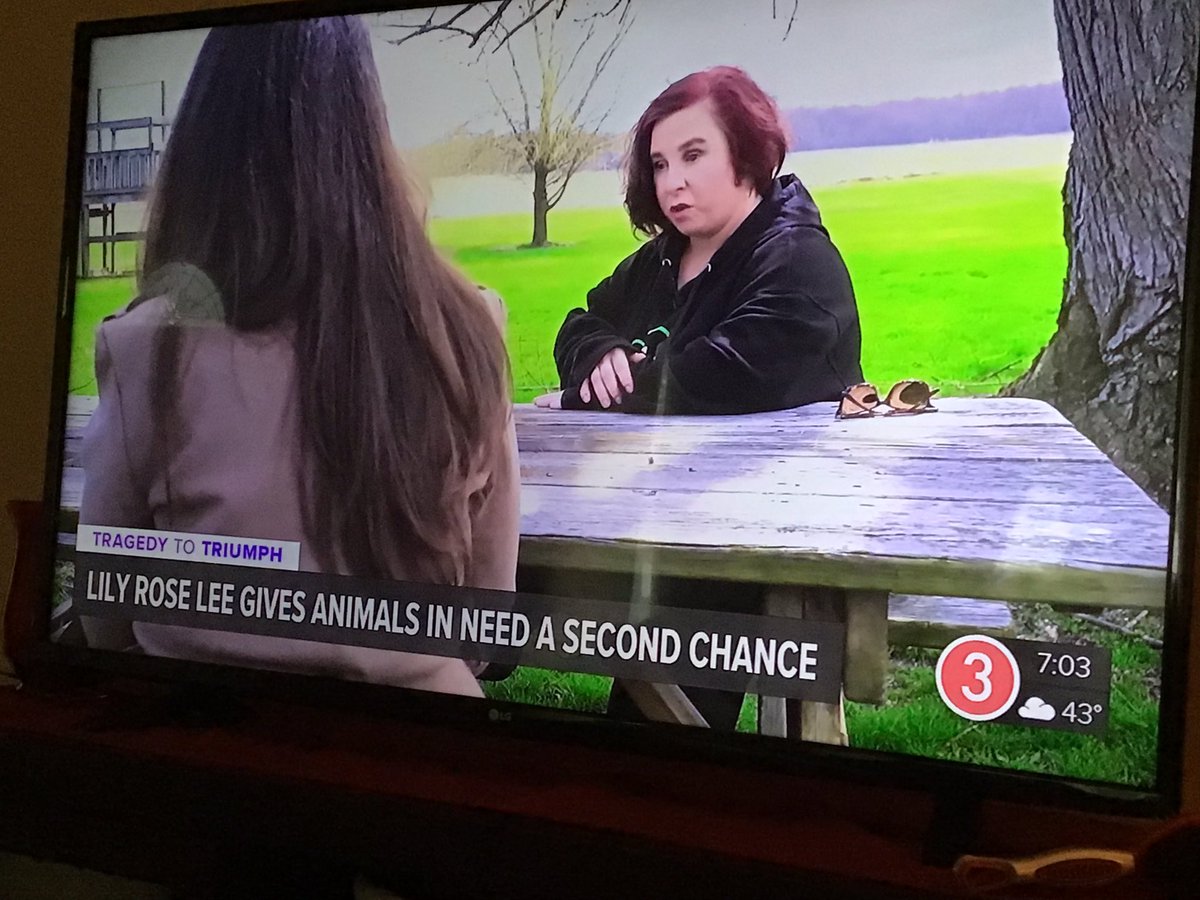 JFracci's tweet photo. Our girl was in the news tonite! She’s so dedicated to helping animals. What a survivor story. ❤️🩹❤️🩹 #MichelleKnight (she’s changed her name now). Just an amazing woman. https://t.co/PDiYsUVd4T