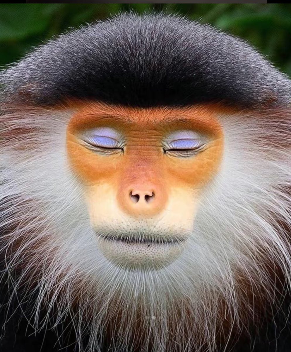 TempleMonkey326's tweet photo. @MightyBrig @buddhaguy696969 @Hernymcfallon55 @RoadWarrior130 🤪🥳🥳🥳🥳🥳🥳🥂🍔🍔🥥🐪👨‍❤️‍💋‍👨👨‍👨‍👦😉😉😳🙈😝😁 https://t.co/l4MrPUpwD8