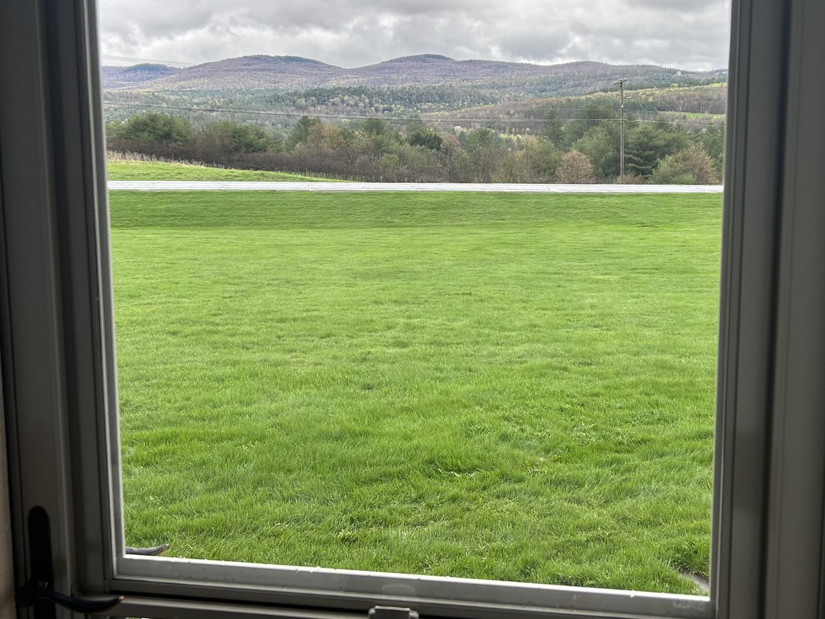 ShawnTWrites's tweet photo. In just a couple weeks there will be a wedding tent out there in the front yard. Excited to celebrate and start this new chapter with Walter.๐ณ๏ธโ๐๐ #may #vermont #monday #mondaymood #mondayvibes #everythingisgreen #springtime #loveislove https://t.co/JpaWHsOrR6