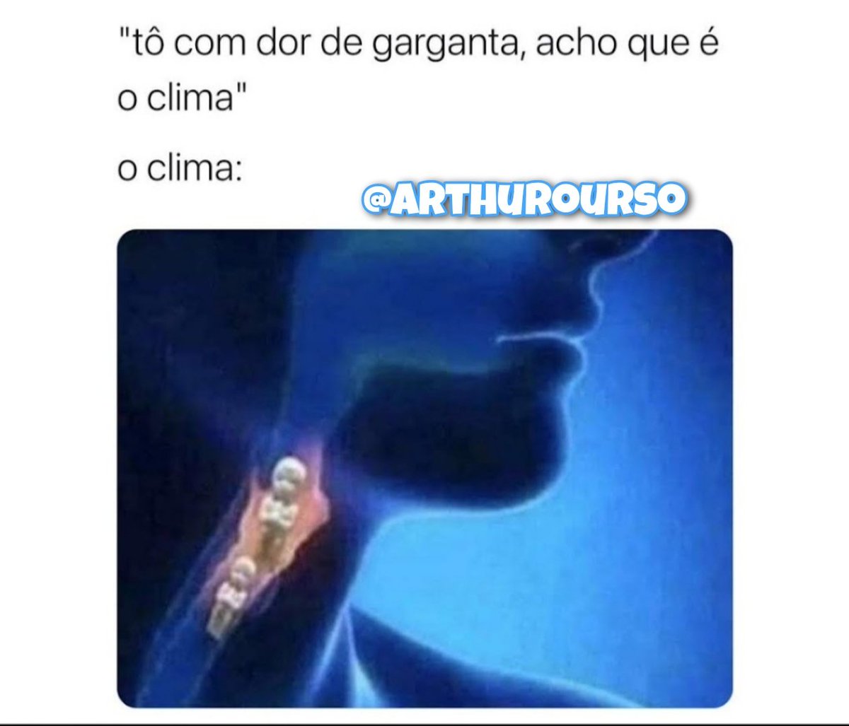 arthuroursso's tweet photo. https://t.co/GPOtxok3WK