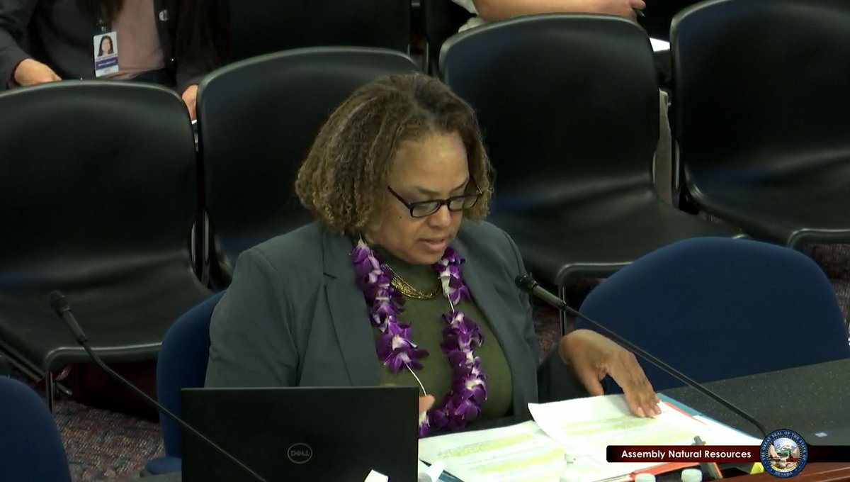 BattleBornProg's tweet image. “#PFAS chemicals is being produced in products that is causing harm not just in the state of Nevada but nationally” #NVleg #SB76