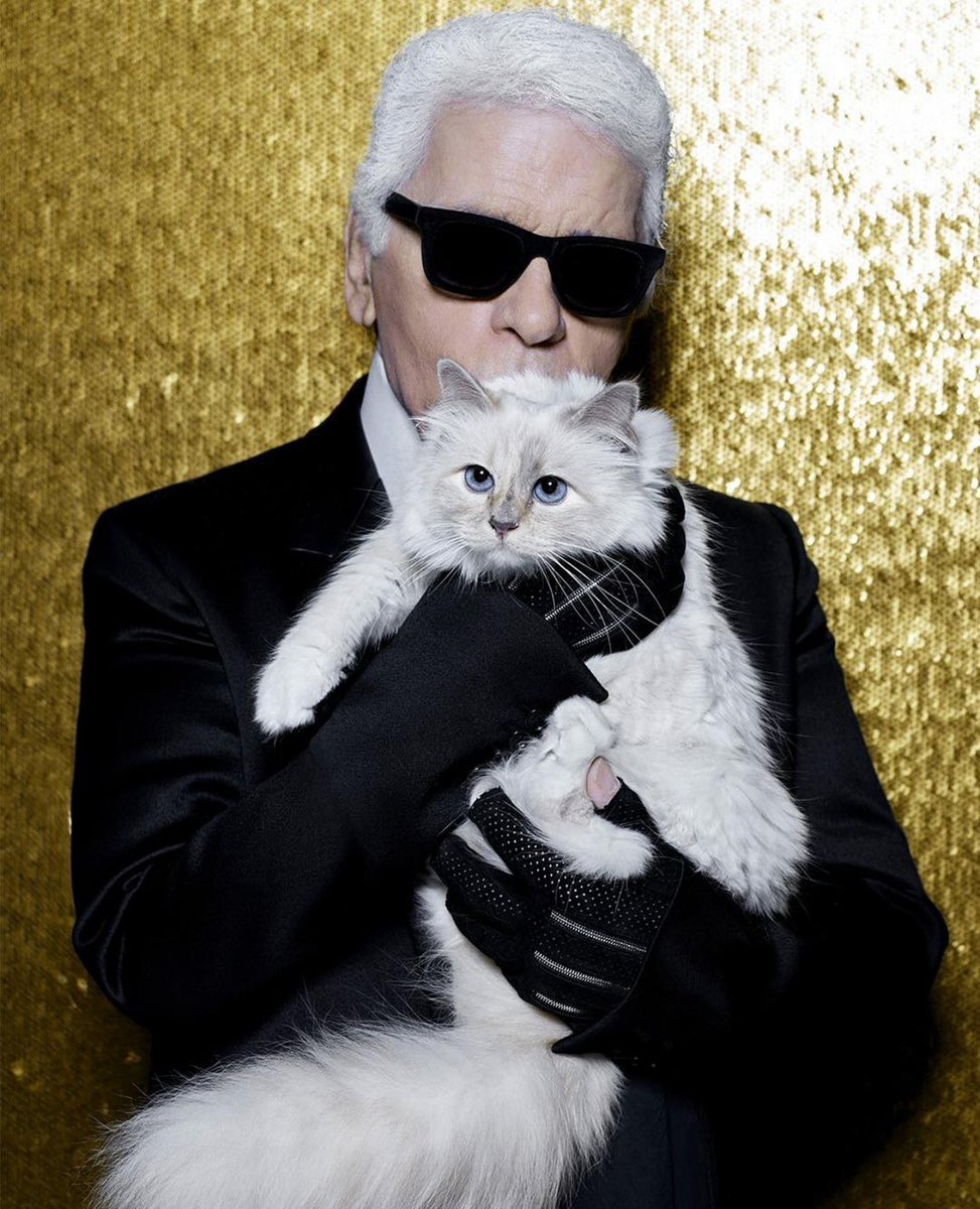Doja è vestita da Gatto di Karl, ha vinto, ha servito, ha mangiato tutte le altre e lasciato zero briciole #metgala