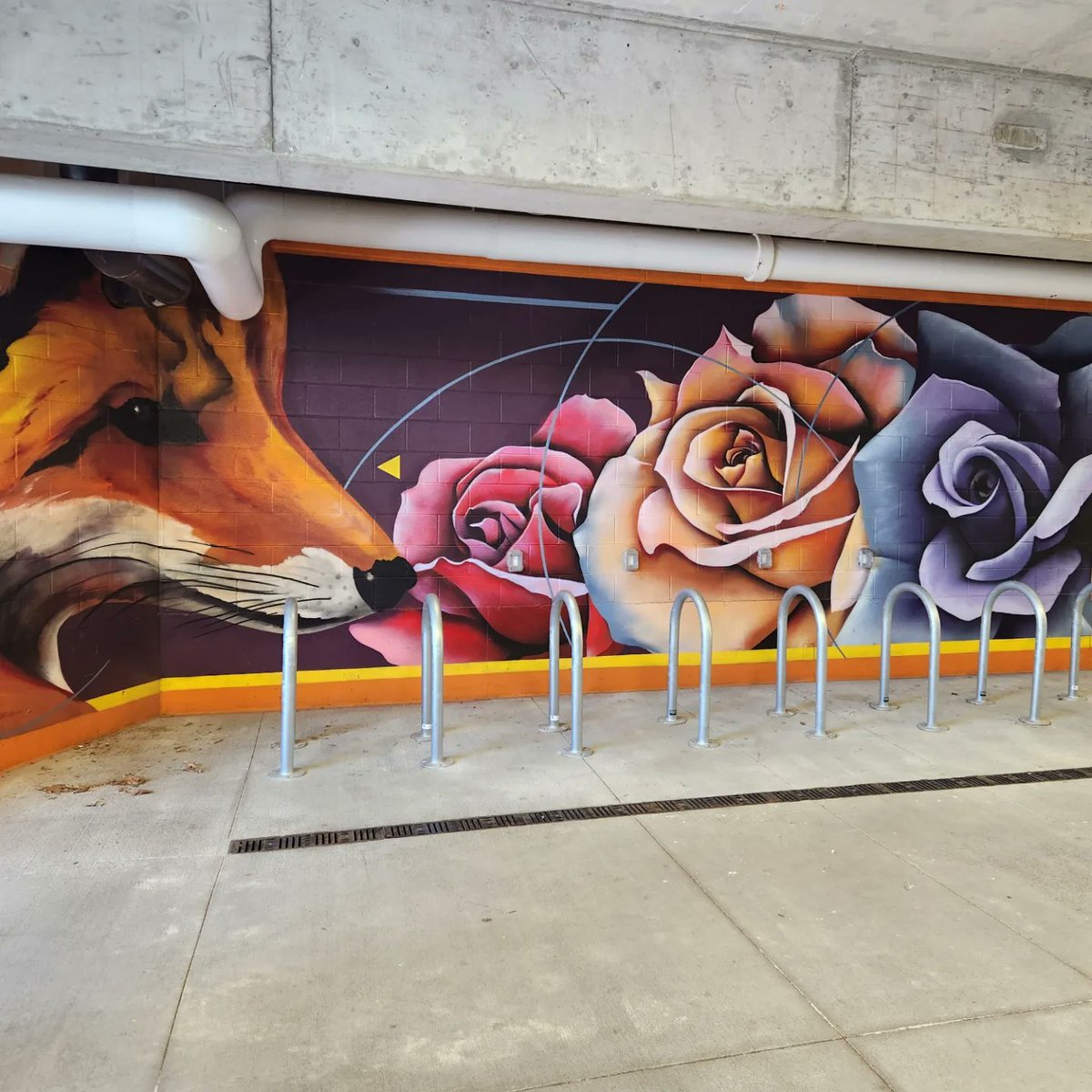 Longmont Walks tweet media