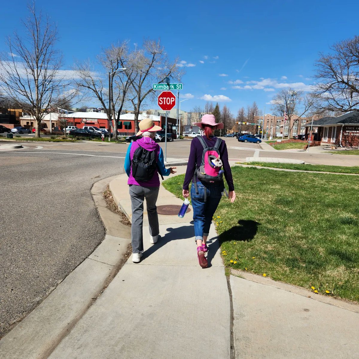 Longmont Walks tweet media