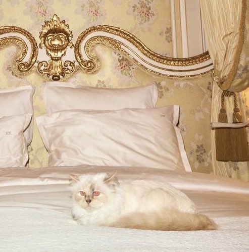 VintageVault8's tweet photo. DOJA CAT AS CHOUPETTE AT THE 2023 #MetGala https://t.co/uBAbk5VLMJ