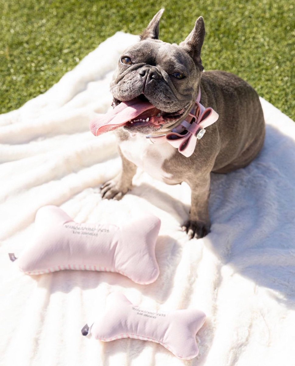 Someone’s happy they got not just ONE but TWO Bone Plush Toys! 🦴  During our 50% off sale! Use: PUPPYLOVE at checkout! #VanderpumpPets