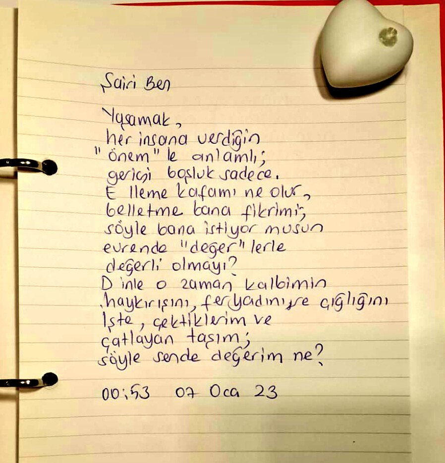 Şairi Ben
Her Güne Bir Şiir Seçkisi