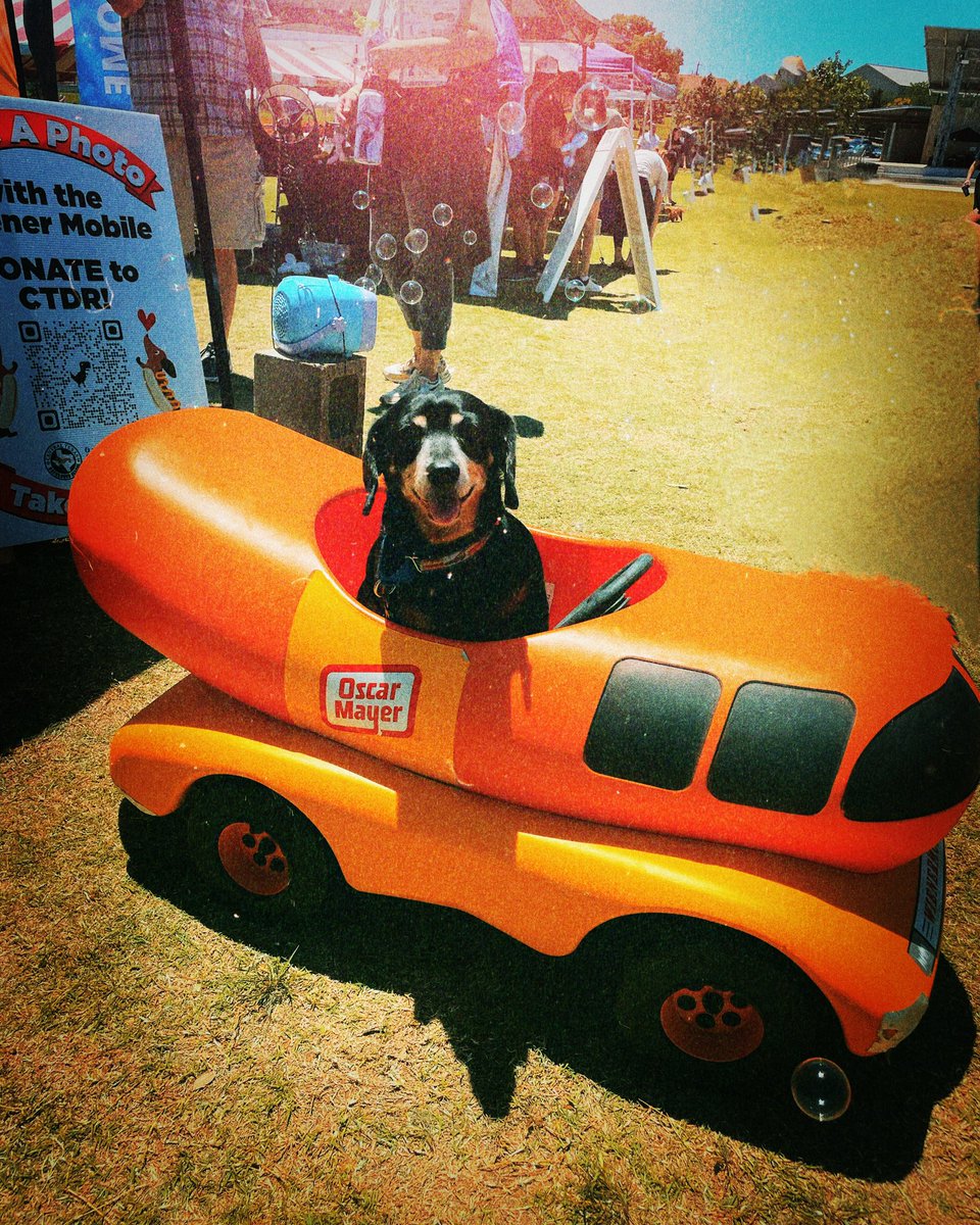 LokiWiener's tweet photo. @Wienermobile https://t.co/UYTRJZIVf5