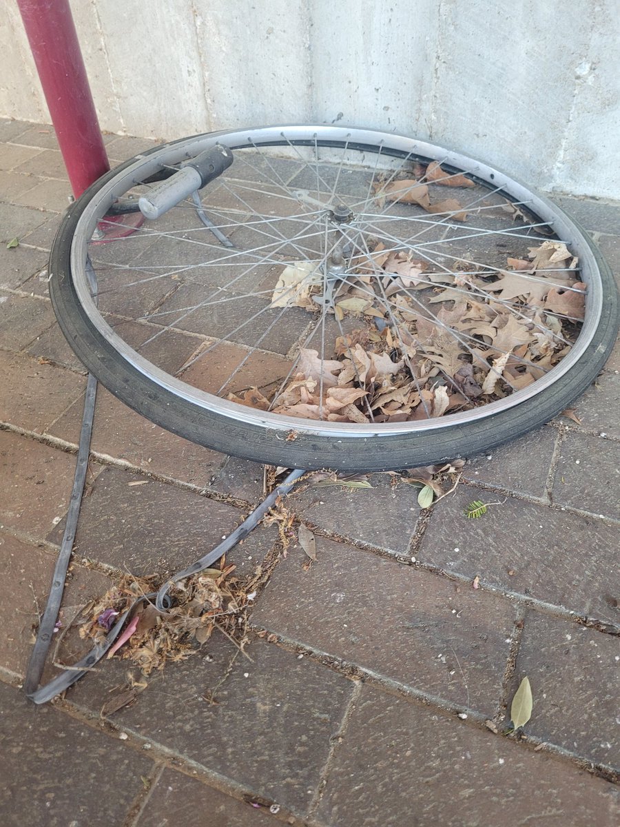 The second part of wheels on campus we find the tire over by Faner

More to come