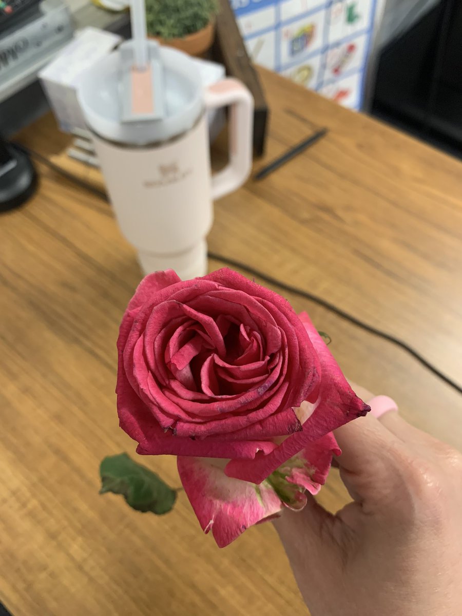 mcubb's tweet photo. From a student today. 🩷🥰 #stopandsmelltheroses https://t.co/ByxZbz2LO3