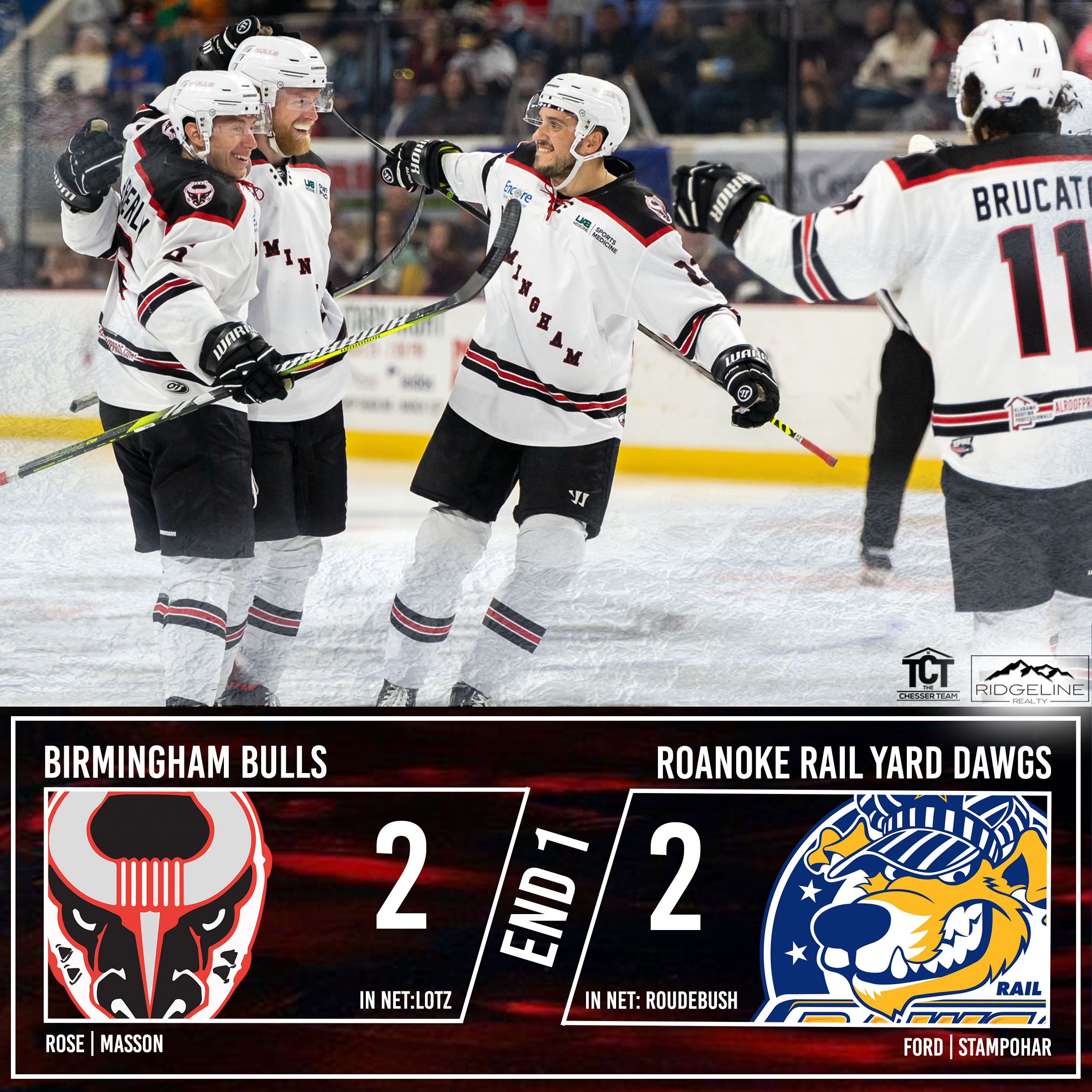 Birmingham Bulls (BullsBirmingham) / Twitter