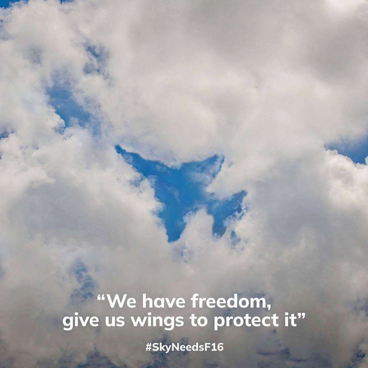 Help us defend ourselves from the invaders, we really need #SkyNeedsF16 #stoprussia #RussiaIsATerroristState