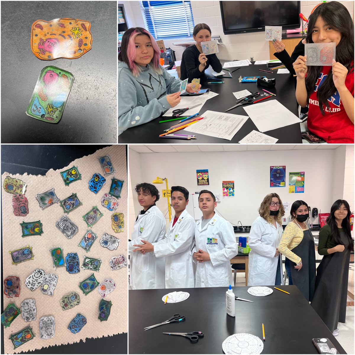 Assisted Mrs. Rodriguez by reviewing biology concepts with the freshies! 🧪🧬🥼 I missed this! 🤓
#clint #ceca #patriots #bio #eoc