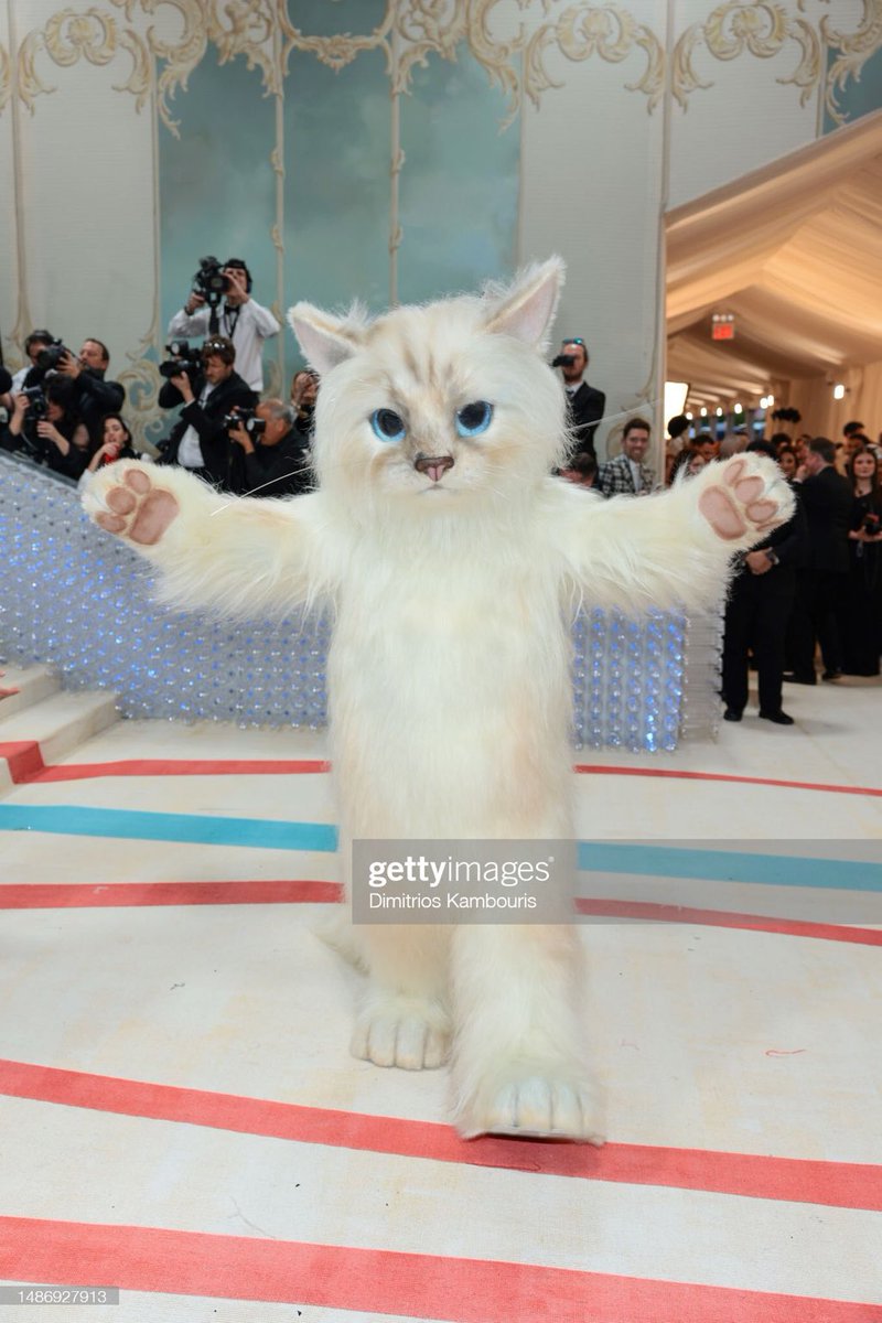 jared leto at the #MetGala …what??