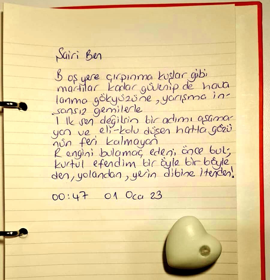 Şairi Ben
Her Güne Bir Şiir Seçkisi