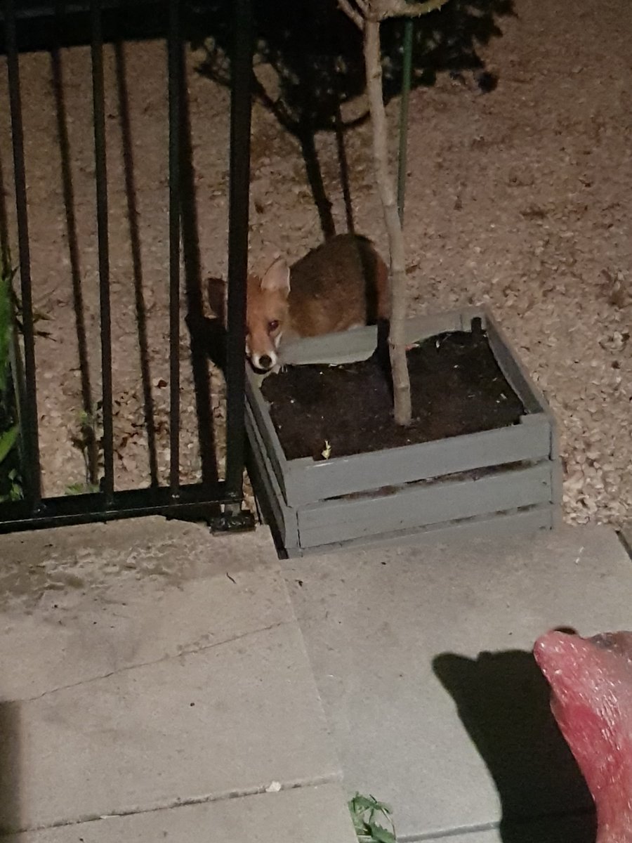 Where's my supper now your back from work