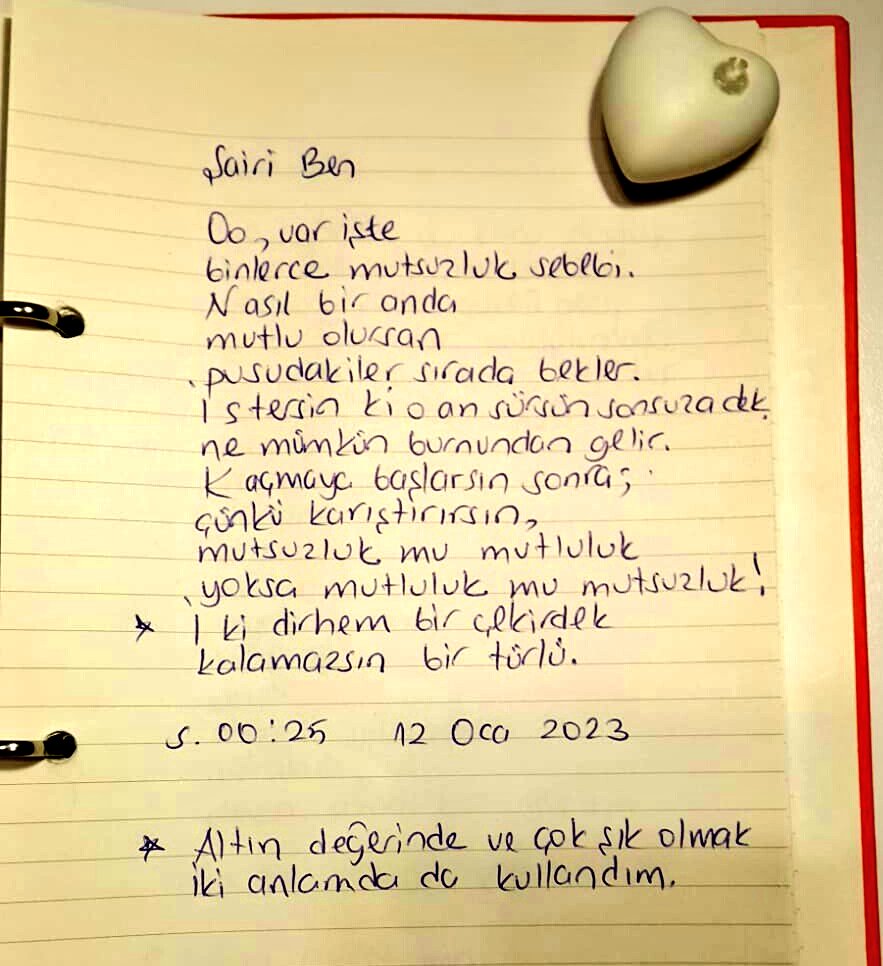 Şairi Ben
Her Güne Bir Şiir Seçkisi