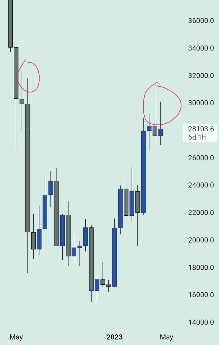 PROFIT BLUE tweet media