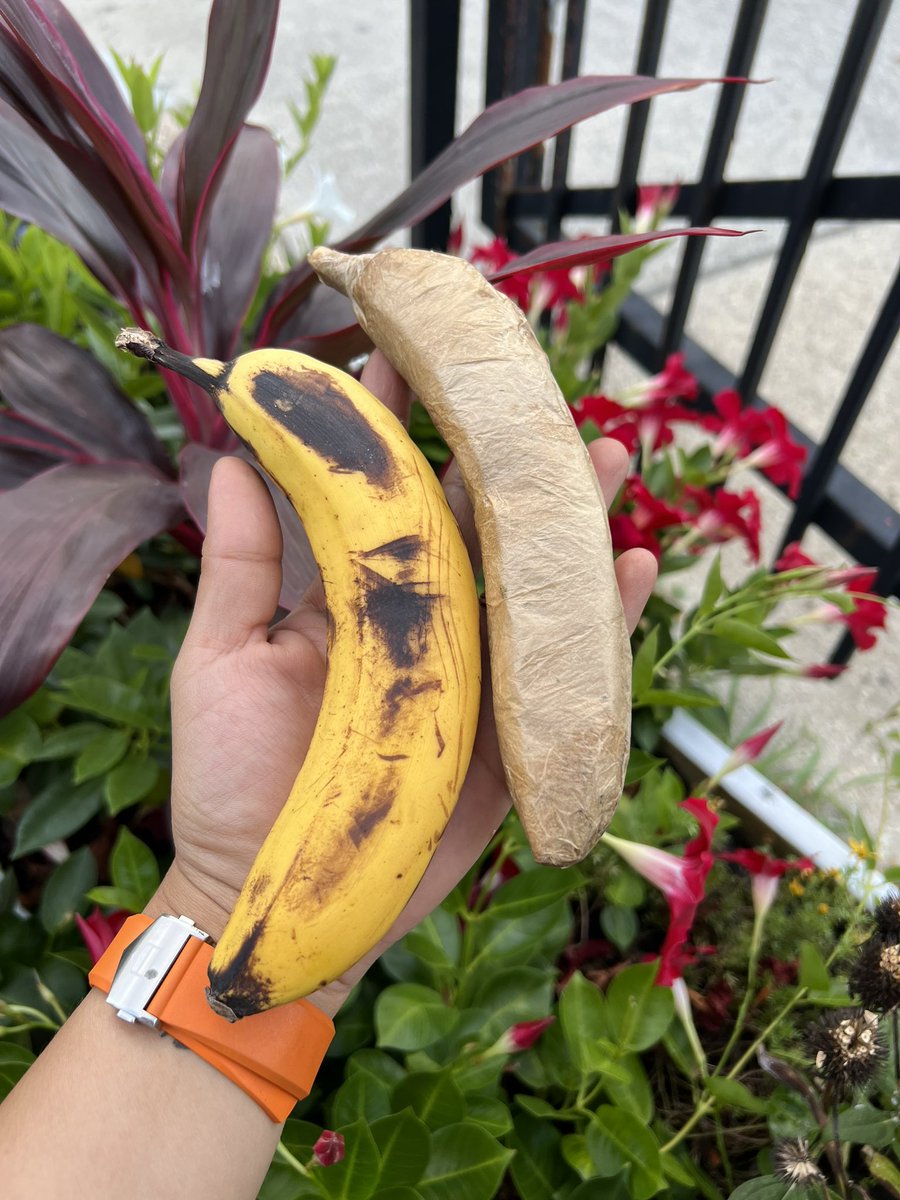 MISS_Q_TBKSS's tweet photo. @wizkhalifa @wizkhalifa how about a #Qnana and some @TNRCoffee to start that morning ? #TBKSS #MissQberolling #Qtility https://t.co/JnBL33aC6T